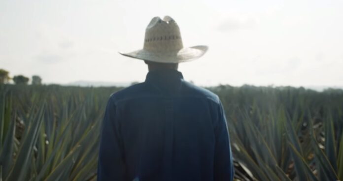 Why Teremana Tequila is a Perfect Investment Vehicle for The Rock