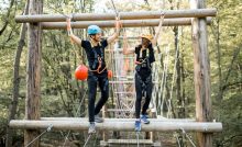 Brain Power Wellness